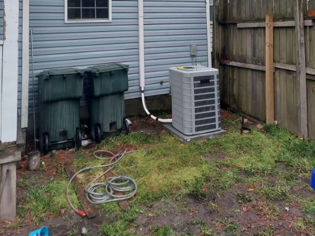 Red Vine Services LLC-Norfolk VA - Image 3